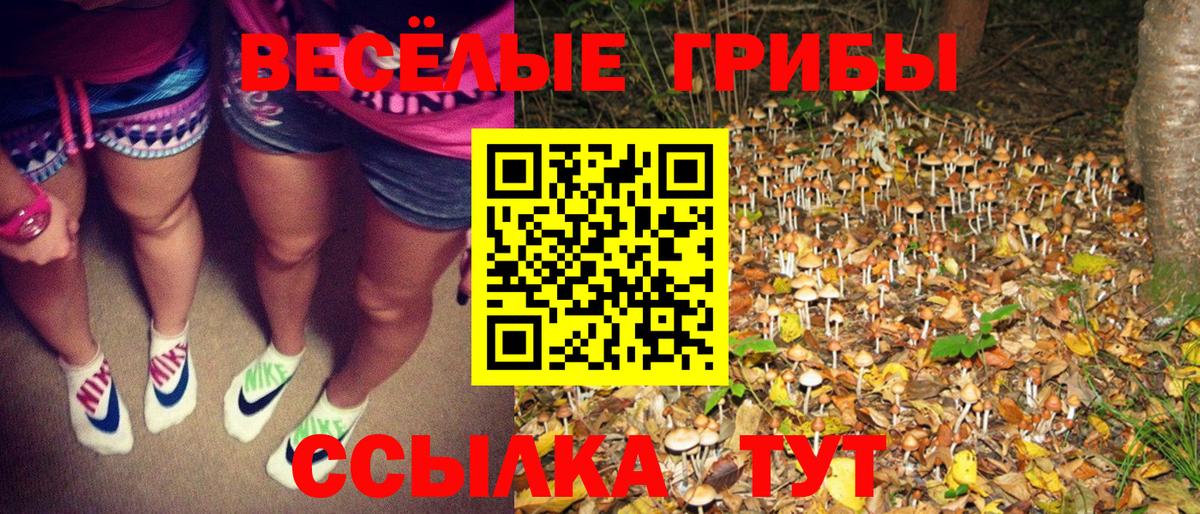 Галлюциногенные грибы ЛСД  Вход с VPN  Новотроицк 