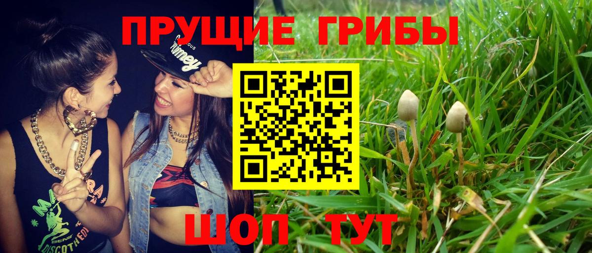 Псилоцибиновые грибы Magic Shrooms Новотроицк